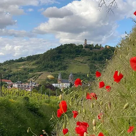 Acapella Barcarolle 60qm, Direkt Am Weinberg, Altstadt, Netflix Inklusive Apartament Heppenheim (Bergstrasse)