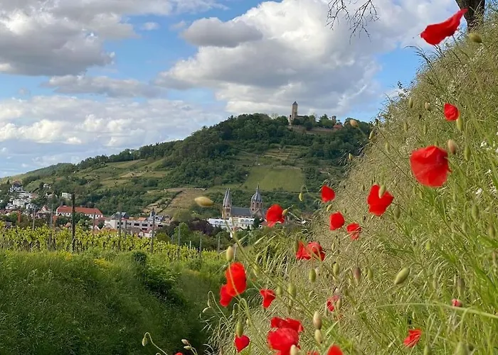 Acapella Barcarolle 60qm, Direkt Am Weinberg, Altstadt, Netflix Inklusive Apartmán Heppenheim (Bergstrasse)